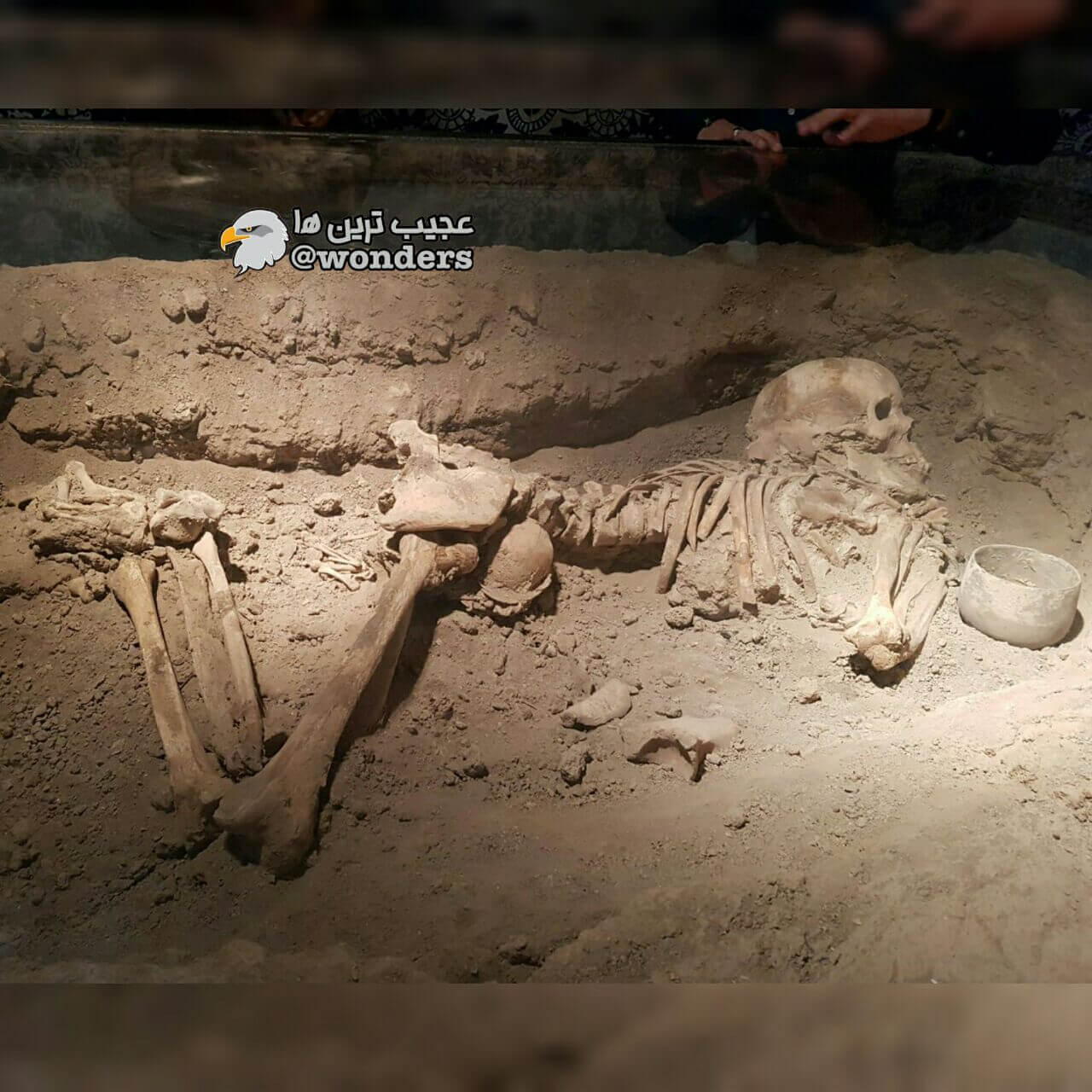 اسکلت چهارهزارساله منحصر بفرد